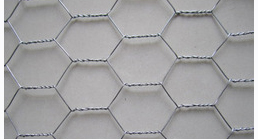 Chicken Wire Mesh